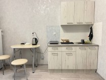 Аренда 1-комн. квартира, 20 м², 10/10 этаж — фото 5