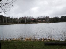 Продажа Дом Баня Навес — фото 36