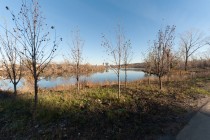 Продажа студия, 1-комн. квартира, 26 м², 3/9 этаж — фото 18