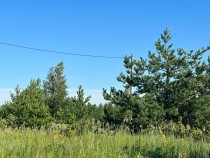Продажа Участок в КП Брайт Парк — фото 5