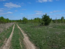 Продажа Живописное место. — фото 6