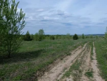 Продажа Живописное место. — фото 10