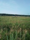 Продажа Земельный участок около Камского моря — фото 3