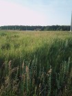 Продажа Земельный участок около Камского моря — фото 12