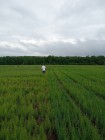 Продажа Участок 8 соток прямоугольной формы — фото 5