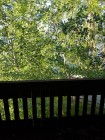 Продажа Участок 8 сот. на первой береговой линии Камы! — фото 7