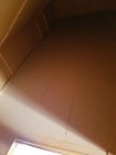 Продажа Участок 8 сот. на первой береговой линии Камы! — фото 19