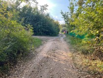 Продажа Участок 8 сот. на первой береговой линии Камы! — фото 4