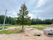 Продажа ДОМ В ТИХОМ ЗЕЛЕНОМ МЕСТЕ !!! — фото 21
