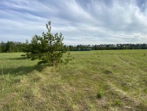 Продажа Прекрасное, живописное место — фото 3
