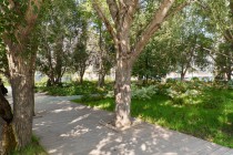 Продажа 2-комн. квартира, 45 м², 5/5 этаж — фото 2