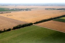 Продажа Участок в Подмосковье под СНТ — фото 1