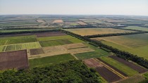 Продажа Участок в Подмосковье под СНТ — фото 3