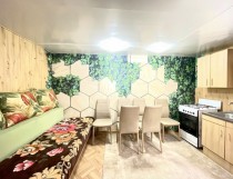 Продажа полностью жилой  дом у реки — фото 4