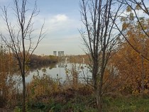 Продажа 3-комн. квартира, 64 м², 2/9 этаж — фото 16