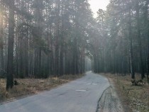 Продажа Участок возле Леса и Озера! — фото 2