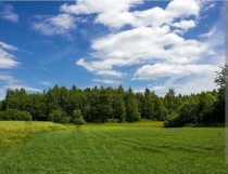Продажа Участок у леса! — фото 2