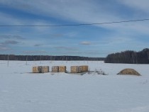 Продажа Участки рядом с Лаишево! — фото 9