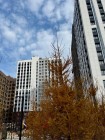 Продажа студия, 1-комн. квартира, 32 м², 15/19 этаж — фото 2