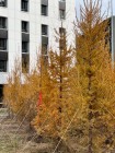 Продажа студия, 1-комн. квартира, 32 м², 15/19 этаж — фото 4