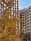 Продажа студия, 1-комн. квартира, 32 м², 15/19 этаж — фото 5
