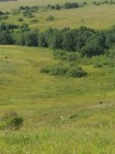 Продажа На участке 4 га протекает река Брысса (СНТ, ДНП) — фото 1