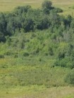 Продажа На участке 4 га протекает река Брысса (СНТ, ДНП) — фото 5