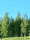 Продажа На участке 4 га протекает река Брысса (СНТ, ДНП) — фото 7