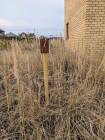 Продажа Участок и дом в экологически чистом месте — фото 22