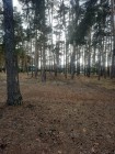 Продажа Дом на берегу Волги — фото 20