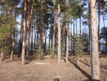 Продажа Дом на берегу Волги — фото 2