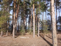 Продажа Дом на берегу Волги — фото 6