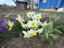 Продажа Дача I ОЗЕРО I ПЛЯЖ I ЛЕС — фото 11