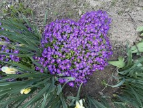 Продажа Дача I ОЗЕРО I ПЛЯЖ I ЛЕС — фото 13