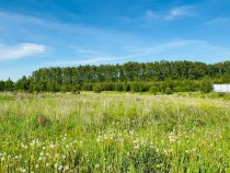 Продажа Участок возле леса — фото 4