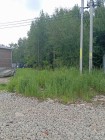Продажа Участок в черте города! — фото 7