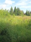 Продажа УЧАСТОК В ЧЕРТЕ ГОРОДА!!! — фото 3