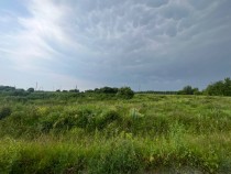 Продажа Ваш гектар золота: 4.17 Га плодородной земли! — фото 1