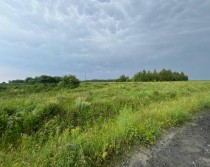 Продажа Ваш гектар золота: 4.17 Га плодородной земли! — фото 2