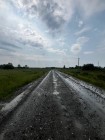 Продажа Ваш гектар золота: 4.17 Га плодородной земли! — фото 3