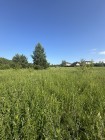 Продажа Участок рядом с лесом! — фото 3