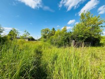 Продажа Участок 6 соток — фото 5