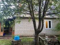Продажа Дача в 250 метрах от Волги — фото 8