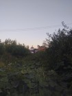 Продажа 1 линия в поселке Столбище — фото 2