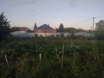 Продажа 1 линия в поселке Столбище — фото 5