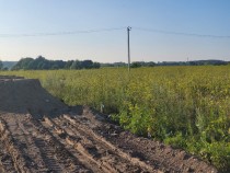 Продажа СРОЧНАЯ ПРОДАЖА ШИКАРНОГО УЧАСТКА — фото 3