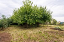 Продажа 14,2  соток земли в лучшем месте для жизни! — фото 10