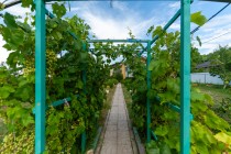 Продажа 20 минут от Казани ! — фото 11