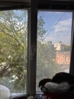 Продажа студия, 1-комн. квартира, 17 м², 4/5 этаж — фото 3