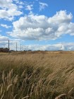 Продажа Ровный участок в старых Сокурах — фото 2